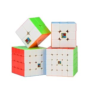 ROXENDA Cubos de Velocidad, Speed Cube Set de 2×2 3×3 4×4 5×5 Stickerless Cube, con Caja de Regalo y Tutorial Secreto para Cubo Mágico