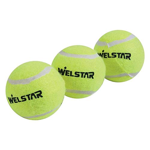 Preisvergleich Produktbild 1 Dose mit 3 Bällen Welstar Tennisbälle Tennisball