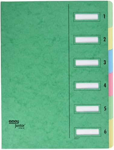 Emey 37.0605 Organiser with 6 Compartments – Green