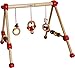 KG Bieco 23000004 - My first Gym Wooden 54 x 54 x 48 cm
