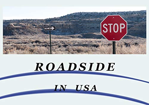 Roadside In Usa Koyo Tearo Bukkususyasinsyuu Japanese Edition - 