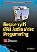 Raspberry Pi GPU Audio Video Programming (English Edition) by 