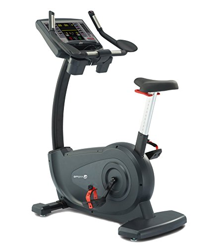 Preisvergleich Produktbild Gym Gear C97 kommerziellen, Fahrrad, aufrecht