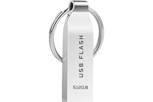 Roowike USB Stick 512GB - Wasserdichter USB 3.0 Speicherstick Mini USB-Stick High Speed USB-Flash-Laufwerk 512GB mit Schlüsselanhänger Datenspeicher für PC, Laptop, Computer, Tablet