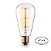 Produktbild TRANSTEC® 4X ST64 Vintage Edison Glühfaden Birne - Eichhörnchen-Käfig Filament - 25W Glühlampe E27 - Industrie Retro altmodische - Klar Warmweiß 2700K - Edison Dekorative Glühlampen Dimmbar [Energieklasse A ]