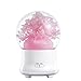 Produktbild OverDose Multifunktional Getrocknet Blume LED Ultraschall Luft Luftbefeuchter Öl Aroma Diffuser Duft Maschine,Schön Nachtlicht ,7 mutativ Farbe, Bestes Geschenk für Freund oder Familie (B)