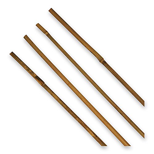 16 x HC-Handel 930235 Tonkinstab Pflanzstütze Bambus 75 cm natur