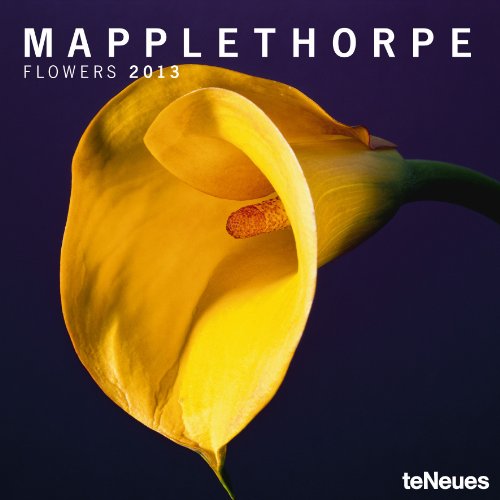 Download 2013 Robert Mapplethorpe Flowers Grid Calendar