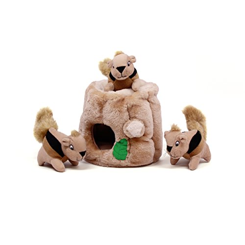 Kyjen-Puzzle-Plush-Hide-A-Squirrel-Dog-Toy
