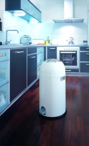 Wesco 184 631-03 Abfallsammler Kickmaster neusilber - 3