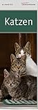 Literarischer Lesezeichenkalender: Katzen 2019. Vierfarbig, Format 6 x 17 cm by 