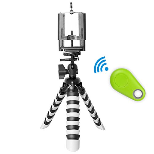 Octopus Tr  pied Parent Child Variation