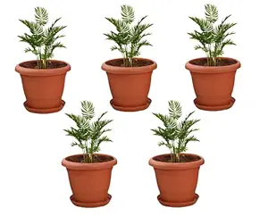 GARBNOIRE 10 Inch UV Treated Teracotta Planter Pot for Indoor / Gamla with 7 Inch Bottom Tray/Plate - Pack of (5)