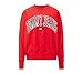 Produktbild Tommy Jeans Collegiate Logo Women's Red Sweatshirt DW0DW06050