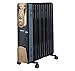 Havells OFR - 11Fin 2900-Watt PTC Fan Heater (Black) RS.10990.00