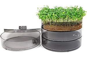 ‎MGC24 mgc24® Keimbar - Keimsprossenbox zur Anzucht von Keimsprossen mit 4 Keimschalen und Deckel