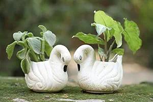 Lyallpur Stores Swan Ceramic Planter - Small (White Color, 6 cm) Plant Not Included