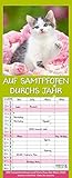 Auf Samtpfoten durch's Jahr 239019 2019: Familienplaner mit 4 breiten Spalten. Hochwertiger Familienkalender mit Ferienterminen und Vorschau bis März 2020. 19 x 47 cm. by