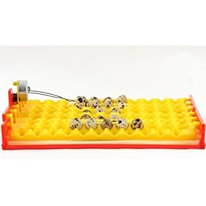 Legehorde mit Wendemotorsystem für Inkubator, Brutkasten 132 Eier, Wachteleier, Taubeneier, Brutmaschine