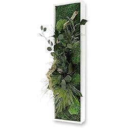 Flowerbox Tableau végétal Nature Panoramic avec Plantes stabilisées