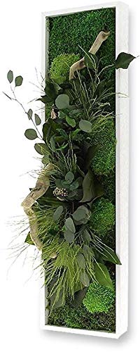 Flowerbox Tableau végétal Nature Panoramic avec Plantes stabilisées