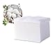1Box(1000Pcs) Disposable Unbleached Cosmetic Deep Clean Cotton Pad/ Makeup Remover Accessories Tools