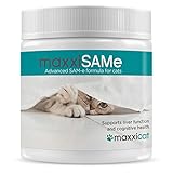 Maladies Du Foie Chez Le Chat Causes Traitement Ooreka