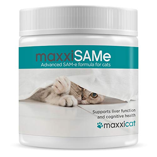 maxxicat - maxxiSAMe Avanzado suplemento Sam-e para Gatos - Ayuda al hígado felino, Las articulaciones & a la Salud cognitiva - 90 g de Polvo - Se suministra con la Comida