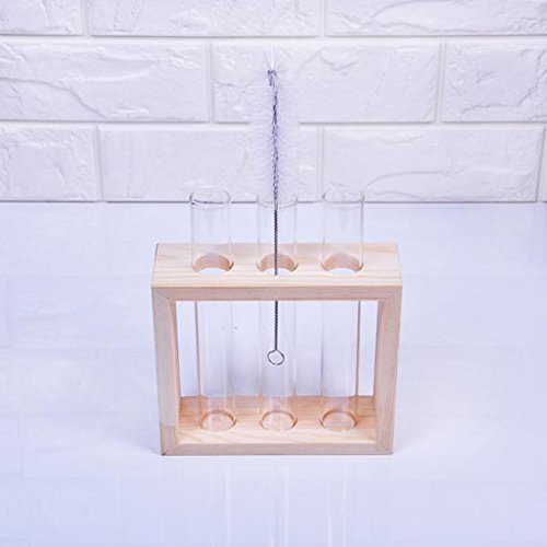 Gazechimp Kristall Glas Vase Halterung Blumen Vase mit Reagenzglasständer Holz Tisch Haus Dekoration - 9