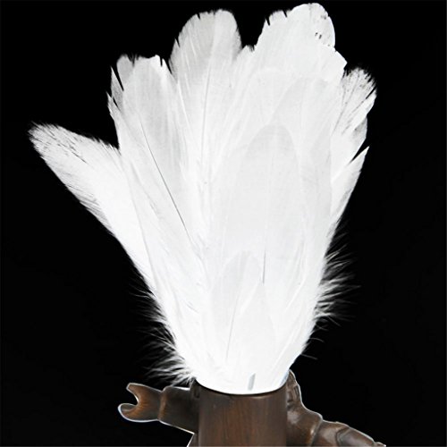 ERGEOB Gans Federn 100 stück Naturfedern 10-15cm/4-6 Zoll Länge für Art Design Basteln Karneval Rosen Montag Halloween Fest versch. Farben - 2