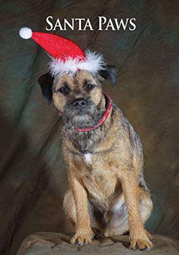 De Border Terrier felicitaciones navideñas por Charles Sainsbury-solla. Gran A5 Tamaño sobre.