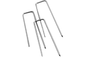 Rayher 2106500 Strohblumennadeln, Beutel 100 Stück, 25 x 5 mm, für floristische Arbeiten, Kränze, Gestecke