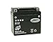 Produktbild Batterie JMT GEL - YTX5L-BS 12 Volt - Keeway F-Act 50 Bj. 2009-2011 [ inkl.7.50 EUR Batteriepfand ]