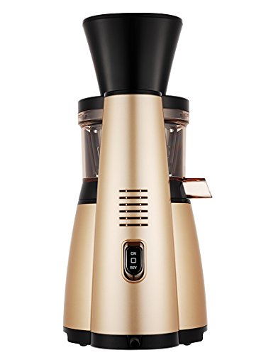 Hurom HT-IBE14 Slow Juicer HT Serie, 2 nd Generation gold, 43 Upm, Modell 2017 Smoothiemaker, 150 W - 2
