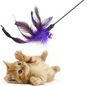 Sage Square Jumbo Size Pet Friendly Feather Teaser Stick Training Toy for Cat/Kitten/Puppy (Normal)