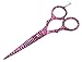 Hairdressing Scissors 5.5'' - Hair Cutting Scissors - Barber Salon Scissors - hair Styling Scissors - Barber Scissors + Case