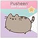 Produktbild Kalender 2019 Wandkalender Kunstkalender Pusheen the Cat 30 x 30 cm inkl. Poster