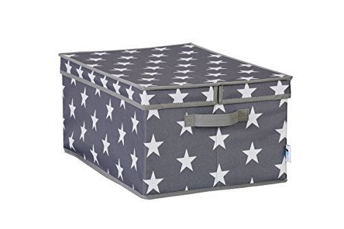 STORE.IT 670988 XL Aufbewahrungsbox mit Klappdeckel, Storage Box, Kleiderschrank, aus reißfestem Polyester, grau