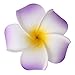 Produktbild Hochzeitsgesellschaft Hawaiian Frangipani Plumeria Blume Schaum Haar Haarspange 9CM (Lila)