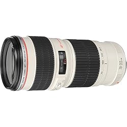 Canon EF 70-200mm f/4L USM - Objetivo para Canon (Distancia Focal 70-200mm, Apertura f/4-32, Zoom óptico 2.8X,diámetro: 67mm) Blanco