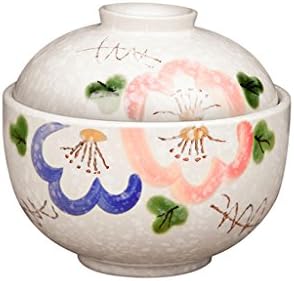 LFHW ZHDC® Japanese-style ceramic bowl, home bowl with bowl noodles Bowl large water braised cup water egg cup bird's nest soup cup dessert bowl Japanese style Ceramic bowl