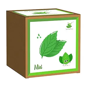 Sow and Grow Easy DIY Gardening Kit of Mint Herb (Grow it Yourself) for Home and Kitchen Garden, Best Kids Birthday Return Gift