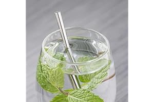 Pailles courtes en INOX 304 | Lot de 10 | Marque française Novela Global (Argent)