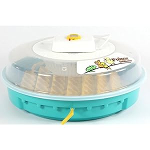 Inkubator halbautomatisch BK51-Rep, 51 Reptilieneier, Brutautomat, Brutmaschine, Brutkasten, Brutapparat mit deutscher Bedienungsanleitung