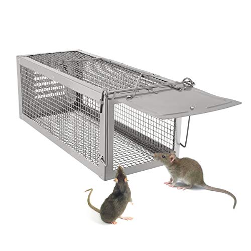 Trapro Humane Rat Trap Live Rat Trap Upgraded Thicken Steel High Sensitivity Humane Mouse Trap Capture Rodent in Live and Release Dimensions 30.5 X 12.5 X 11 cm