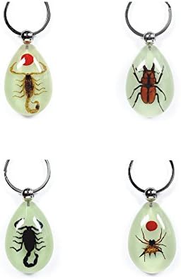 HKhuixin Personalized key buckle insect amber key button - scorpion