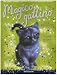 Scuola di circo. Magico gattino: 6 - Sue Bentley, A. Swan, F. Tartaglia