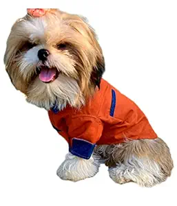 Oz International Dog Shirt with Collar | Pet Apparels for Puppy, Small Dogs & Cats|Cotton Interlocked Fabric Shirts