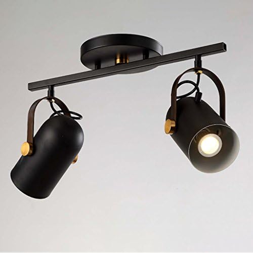 Modern American Absorb Dome Light Creative Living Room Can Be Rotating Spotlights Clothing Store Personality LED Long Shot Lights ( Size : Double head )