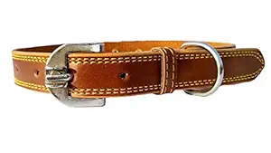 Petlia Neck Collar for Dog letherite Extra Extra Large